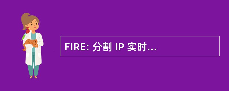 FIRE: 分割 IP 实时引擎 （网络外设）