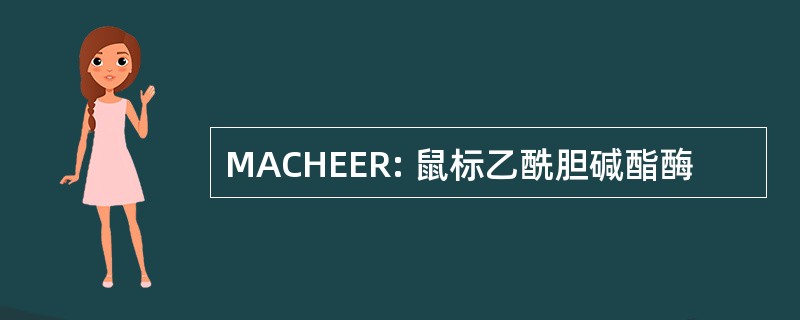 MACHEER: 鼠标乙酰胆碱酯酶