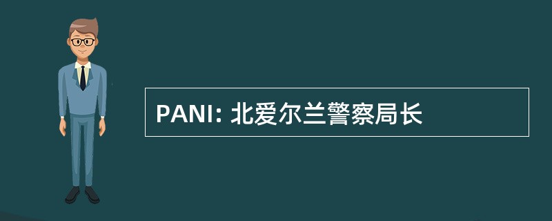 PANI: 北爱尔兰警察局长