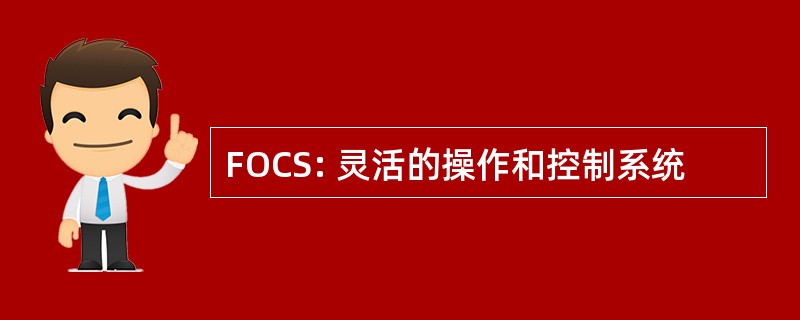 FOCS: 灵活的操作和控制系统