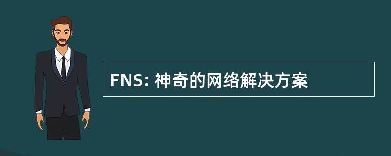 FNS: 神奇的网络解决方案