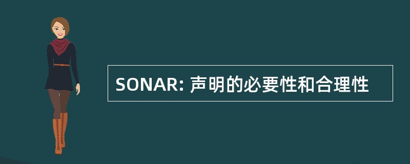 SONAR: 声明的必要性和合理性