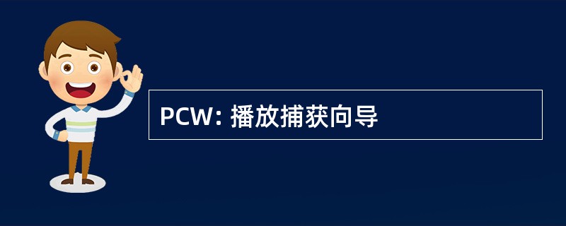 PCW: 播放捕获向导