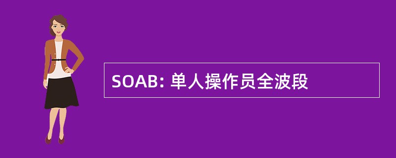 SOAB: 单人操作员全波段