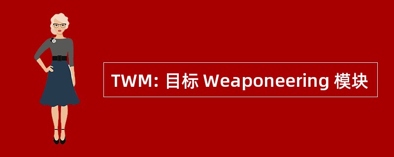 TWM: 目标 Weaponeering 模块