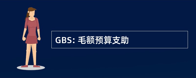 GBS: 毛额预算支助