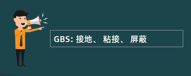 GBS: 接地、 粘接、 屏蔽