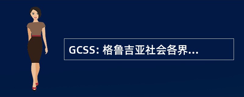 GCSS: 格鲁吉亚社会各界支持和解决方案公司