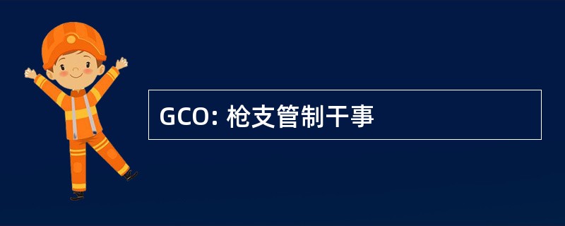 GCO: 枪支管制干事