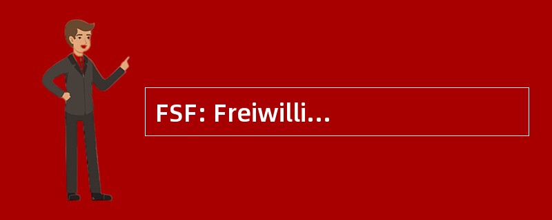 FSF: Freiwillige Selbstkontrolle Fernsehen 电动汽车