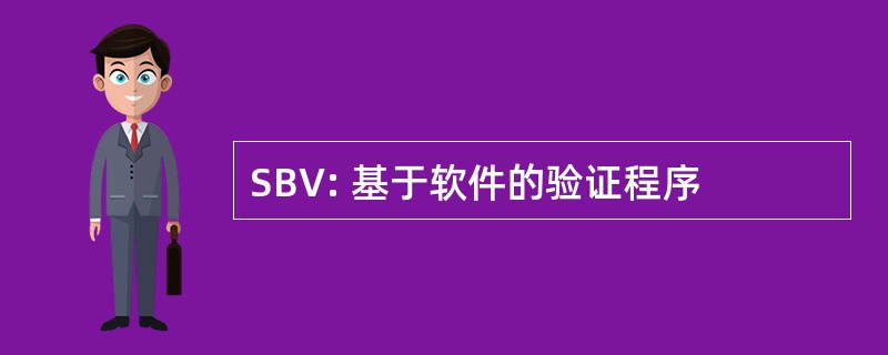 SBV: 基于软件的验证程序