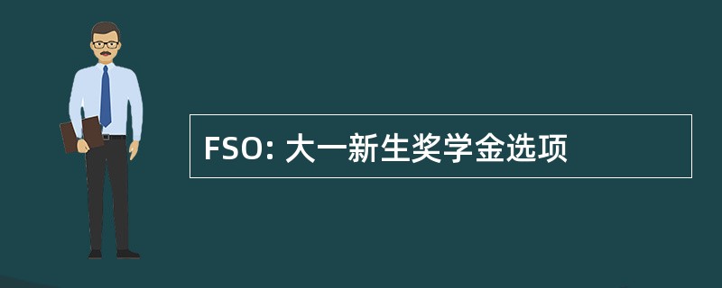 FSO: 大一新生奖学金选项