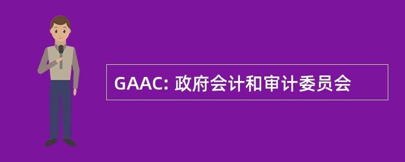 GAAC: 政府会计和审计委员会