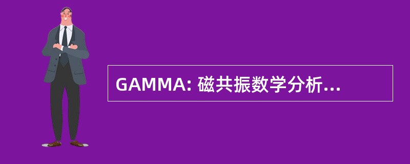 GAMMA: 磁共振数学分析的一般方法