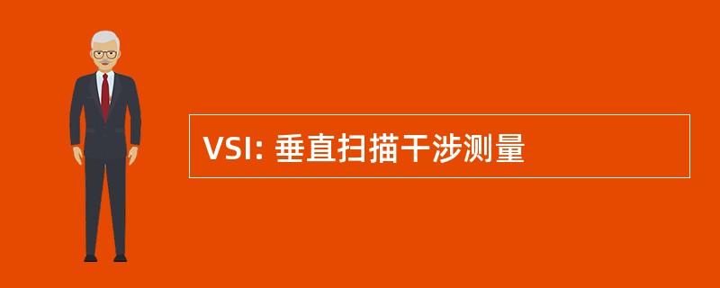 VSI: 垂直扫描干涉测量