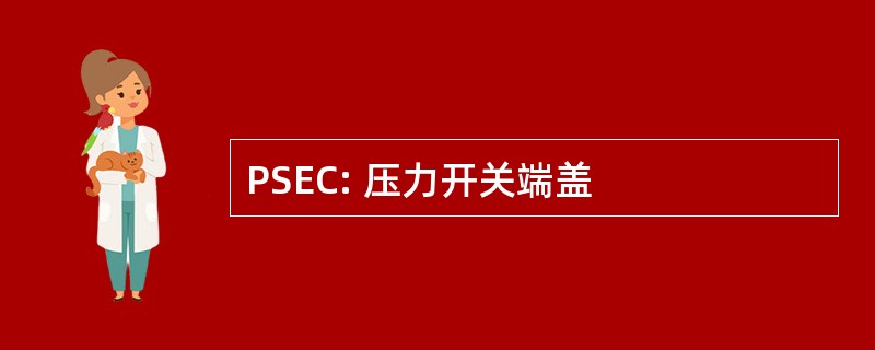 PSEC: 压力开关端盖