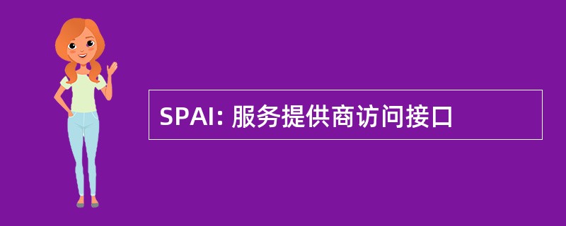 SPAI: 服务提供商访问接口