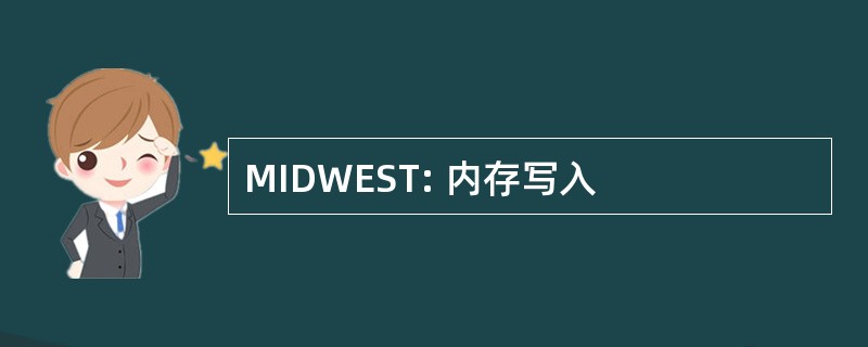 MIDWEST: 内存写入