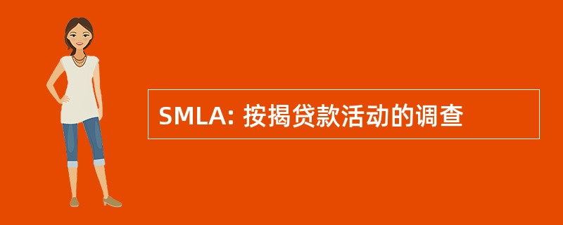 SMLA: 按揭贷款活动的调查