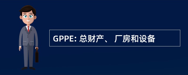 GPPE: 总财产、 厂房和设备