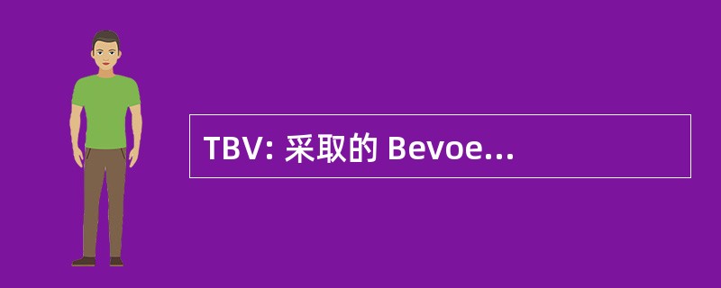 TBV: 采取的 Bevoegdheden Verantwoordelijkheden