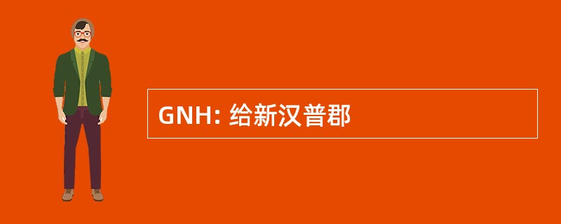 GNH: 给新汉普郡