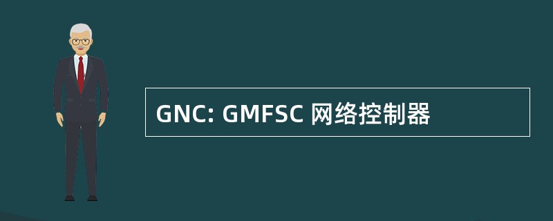 GNC: GMFSC 网络控制器