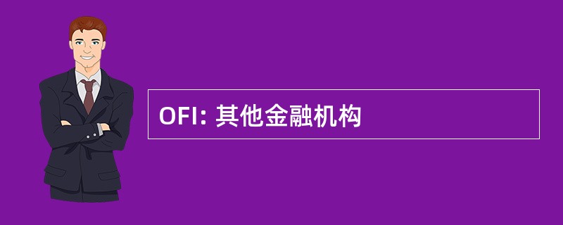 OFI: 其他金融机构