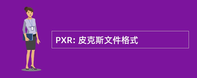 PXR: 皮克斯文件格式