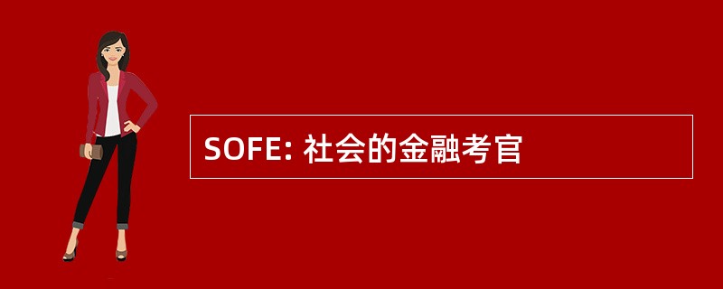 SOFE: 社会的金融考官