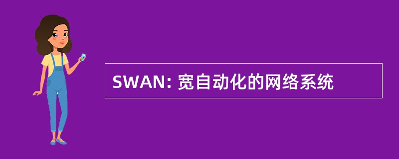 SWAN: 宽自动化的网络系统