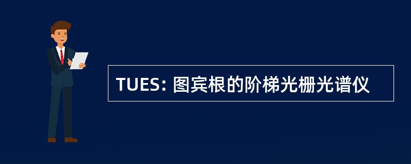 TUES: 图宾根的阶梯光栅光谱仪