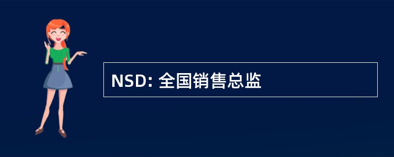 NSD: 全国销售总监