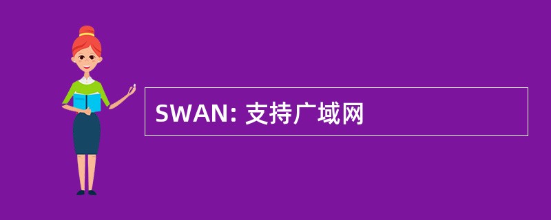 SWAN: 支持广域网