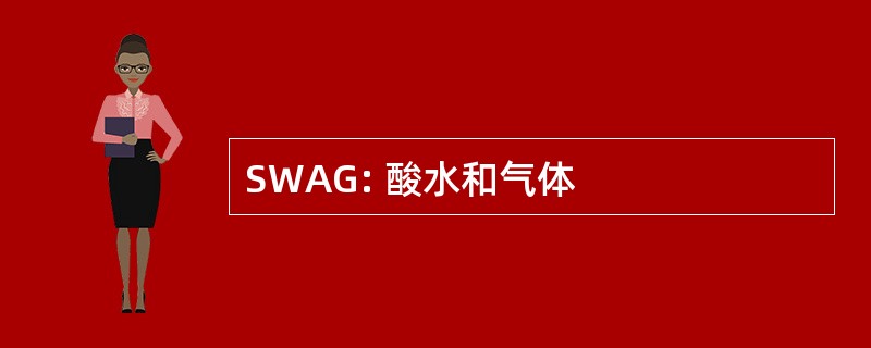 SWAG: 酸水和气体