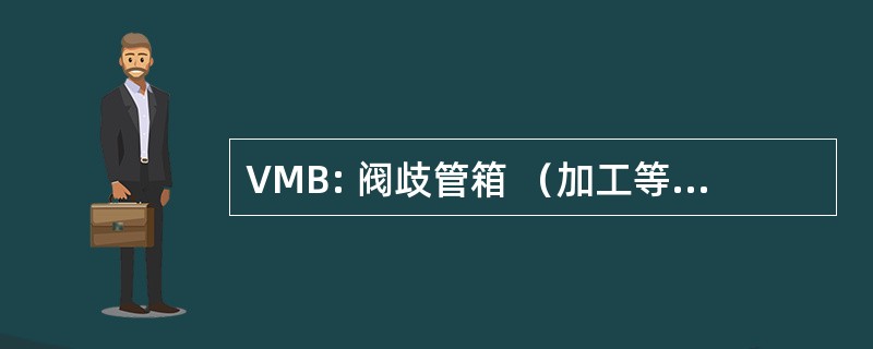 VMB: 阀歧管箱 （加工等行业的液体和气体的工具）