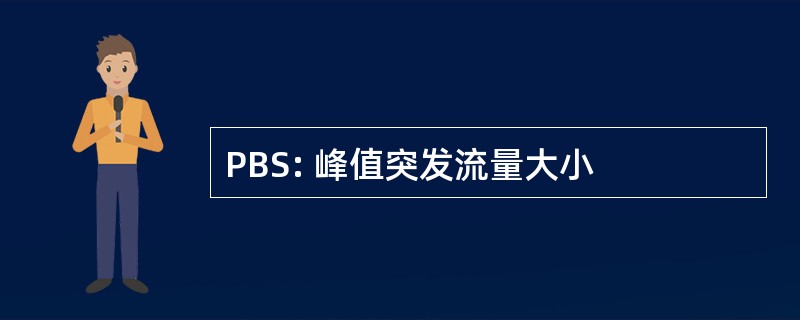 PBS: 峰值突发流量大小