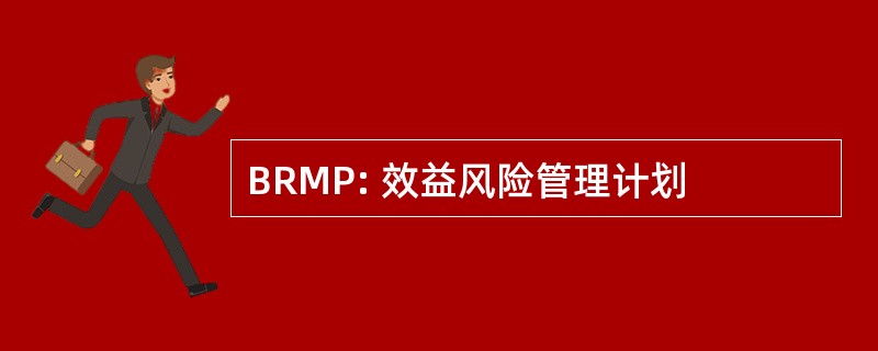 BRMP: 效益风险管理计划