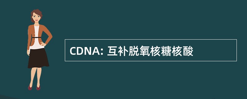 CDNA: 互补脱氧核糖核酸