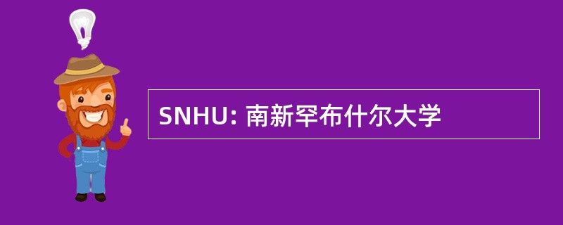 SNHU: 南新罕布什尔大学