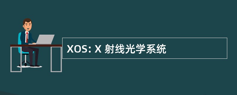 XOS: X 射线光学系统