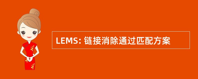 LEMS: 链接消除通过匹配方案