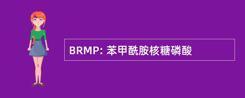 BRMP: 苯甲酰胺核糖磷酸