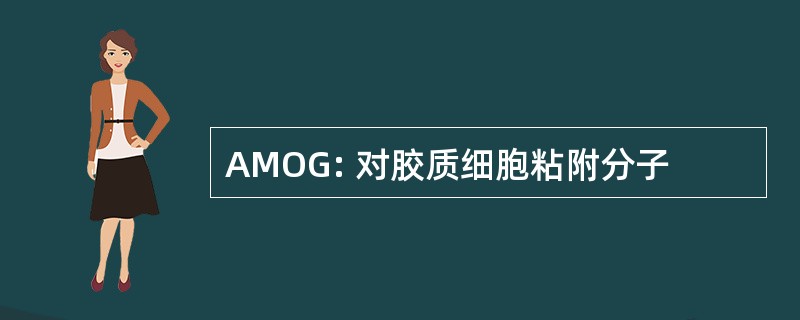 AMOG: 对胶质细胞粘附分子