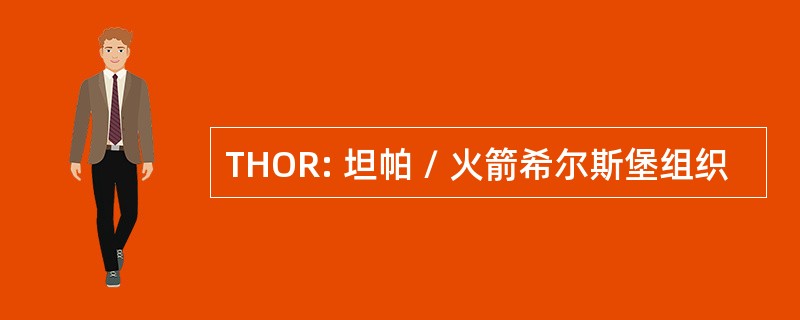 THOR: 坦帕 / 火箭希尔斯堡组织