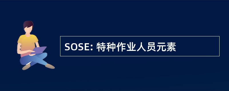 SOSE: 特种作业人员元素