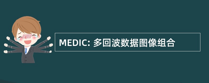 MEDIC: 多回波数据图像组合