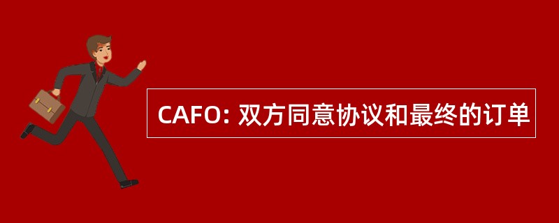 CAFO: 双方同意协议和最终的订单