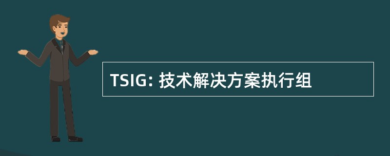 TSIG: 技术解决方案执行组