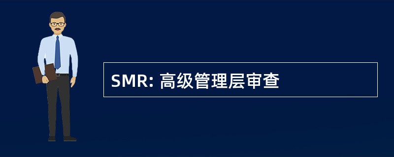 SMR: 高级管理层审查